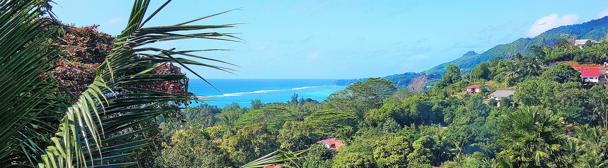 Maison Oasis Reef Estate Anse aux Pins Eksteriør billede